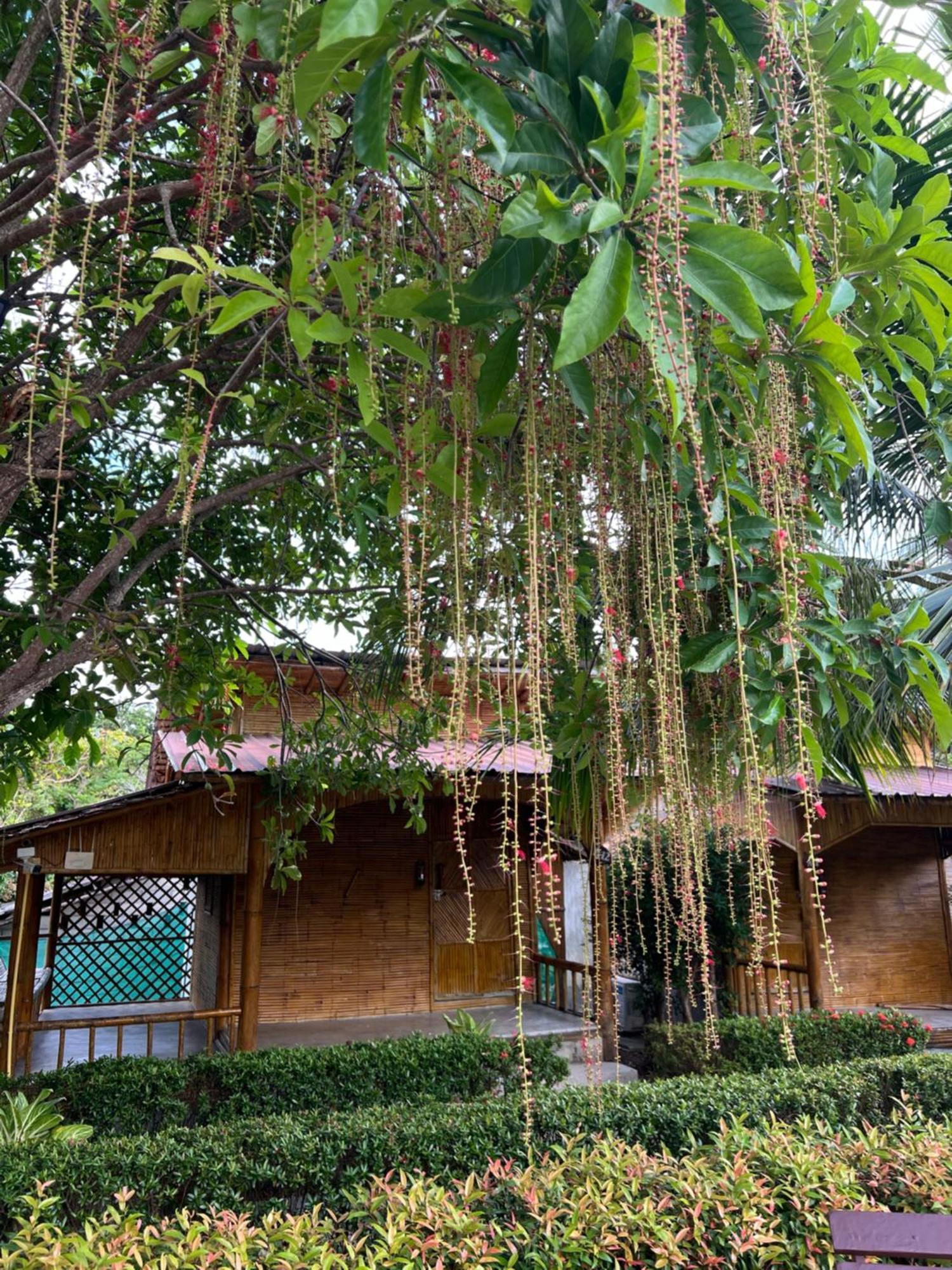 Chom Dao Resort Koh Lanta Exterior photo